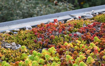 the cost of Lingdale green roof installation
