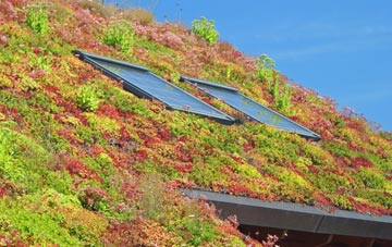 Lingdale living roof systems
