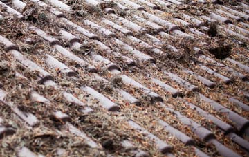 Lingdale roof cleaning companies