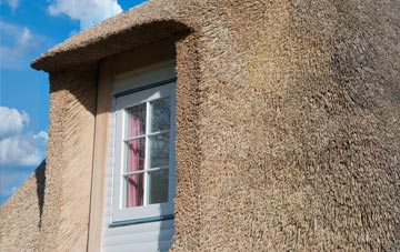 Lingdale thatch roof disadvantages