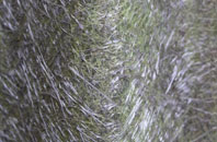 Lingdale fibreglass roof work